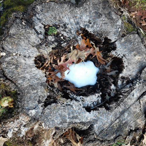 Overwhelmed : Every Day I Lose You (Dad's Basement Mix)